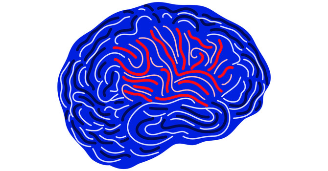 Neurotransmitters: Your Brain’s Messengers